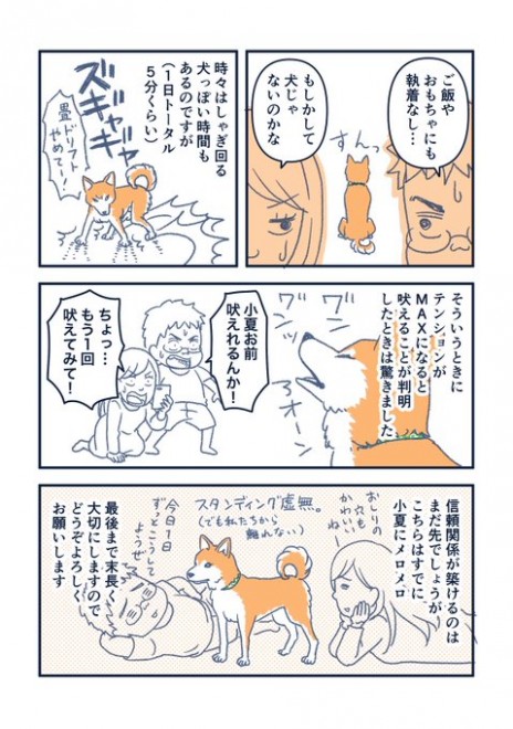 画像 写真 漫画 柴犬 小夏 私が思っていた柴犬となんか違う 5枚目 Oricon News