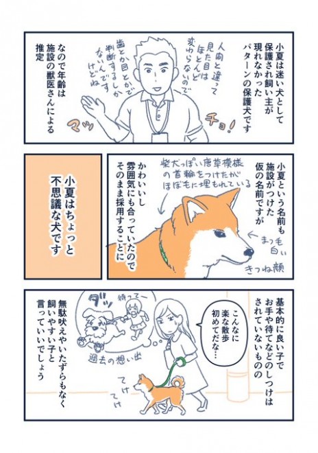 画像 写真 漫画 柴犬 小夏 私が思っていた柴犬となんか違う 3枚目 Oricon News