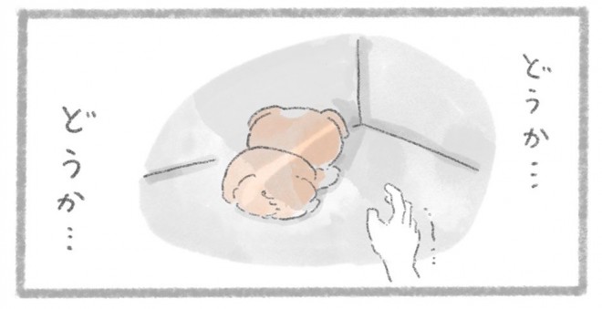 摜񋟁^񂳂i@kametan_junj