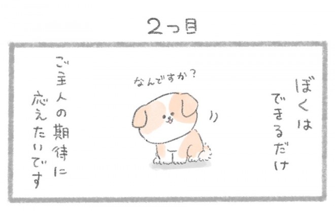 摜񋟁^񂳂i@kametan_junj