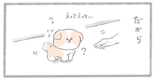 摜񋟁^񂳂i@kametan_junj