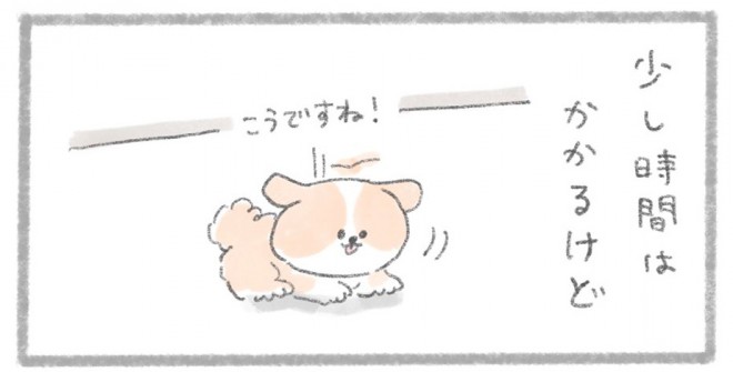 摜񋟁^񂳂i@kametan_junj