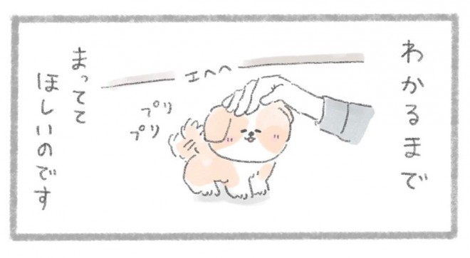 摜񋟁^񂳂i@kametan_junj