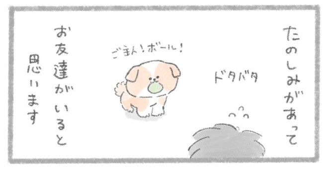 摜񋟁^񂳂i@kametan_junj