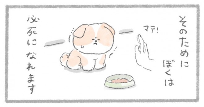 摜񋟁^񂳂i@kametan_junj