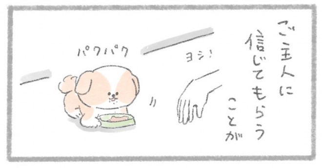 摜񋟁^񂳂i@kametan_junj