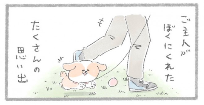 摜񋟁^񂳂i@kametan_junj