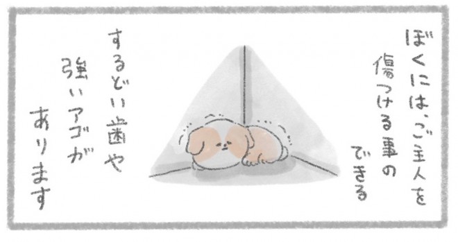 摜񋟁^񂳂i@kametan_junj