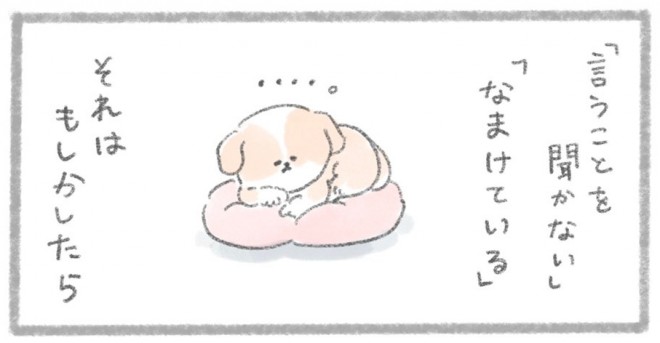 摜񋟁^񂳂i@kametan_junj