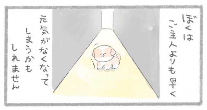 摜񋟁^񂳂i@kametan_junj