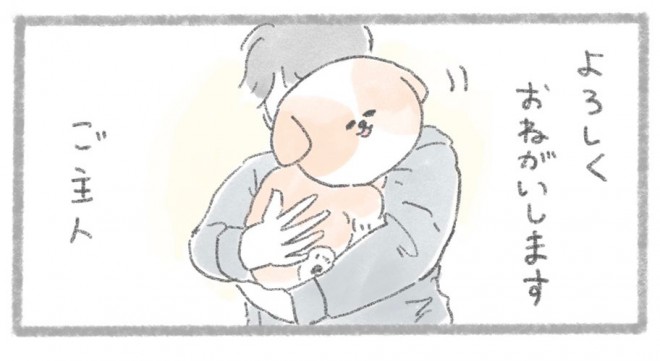 摜񋟁^񂳂i@kametan_junj