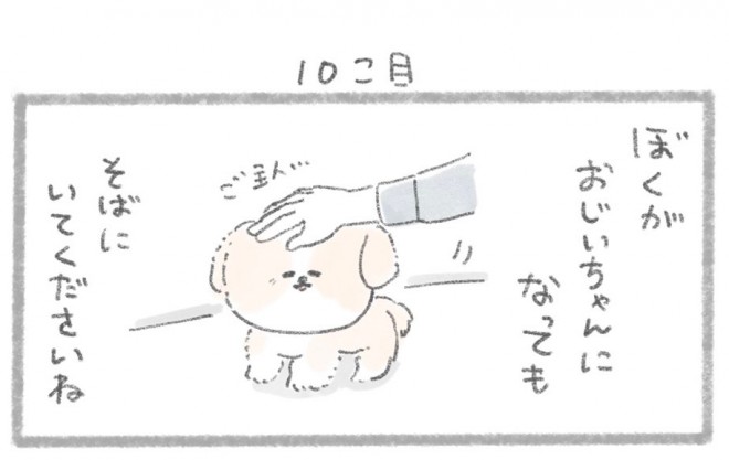 摜񋟁^񂳂i@kametan_junj