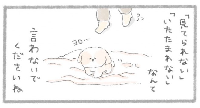 摜񋟁^񂳂i@kametan_junj