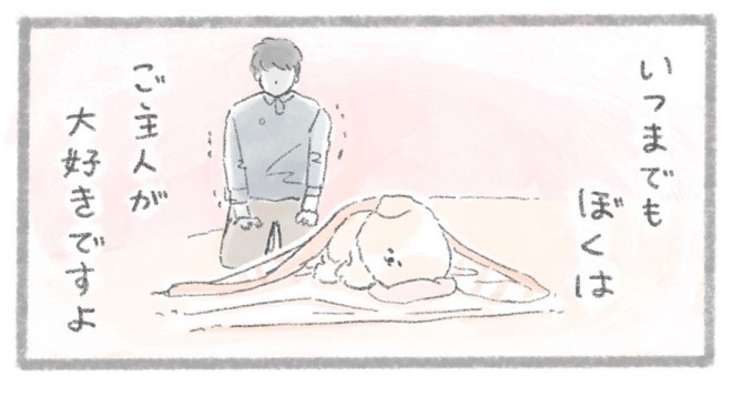 摜񋟁^񂳂i@kametan_junj