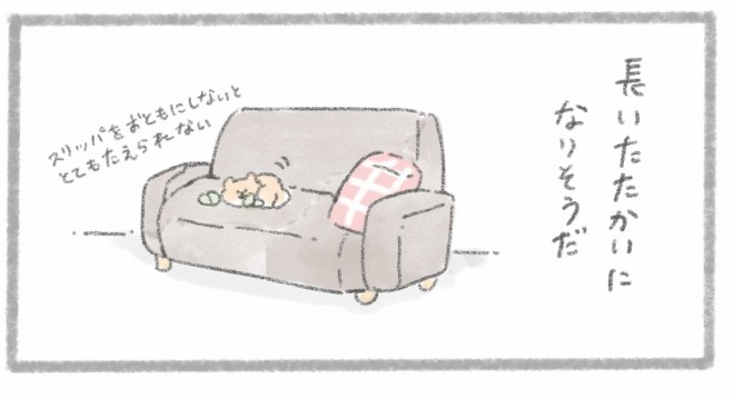 摜񋟁^񂳂i@kametan_junj