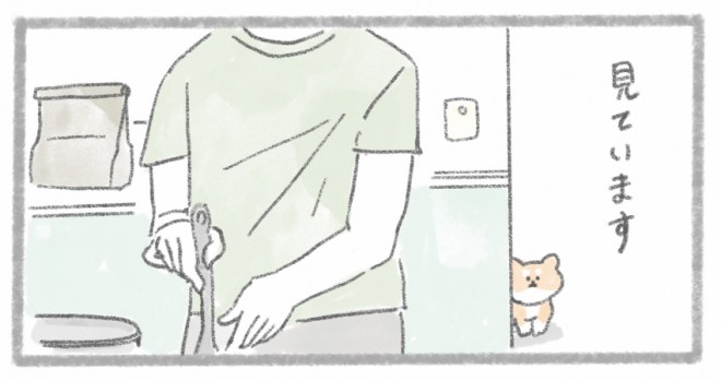 摜񋟁^񂳂i@kametan_junj