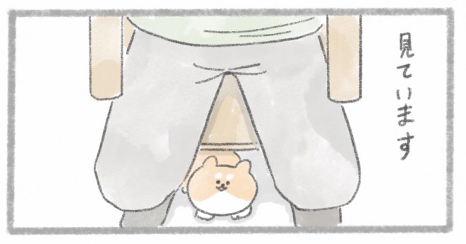 摜񋟁^񂳂i@kametan_junj