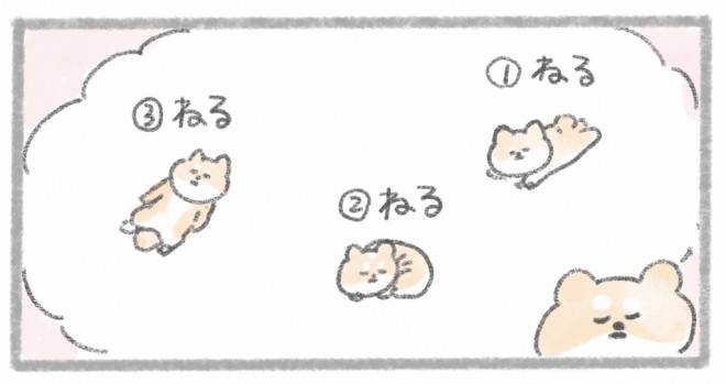 摜񋟁^񂳂i@kametan_junj