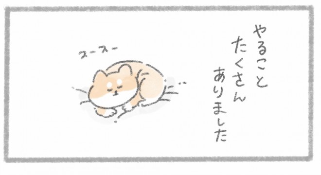 摜񋟁^񂳂i@kametan_junj