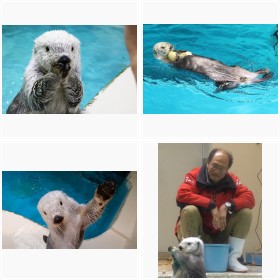 ���H�����ق̐l�C�ҁA���b�R�̃��C�����t�H�g�M�������[