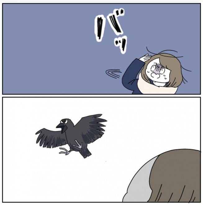 ������܂��� ���h