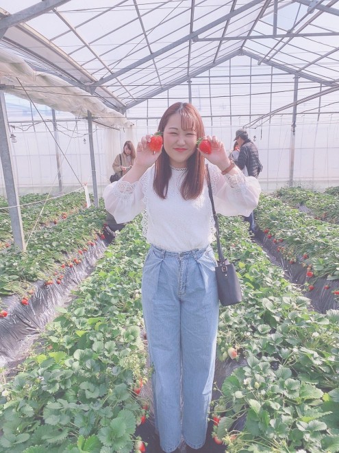 y_CGbgrtH[At^[z26ĽʂɐOL̂܂