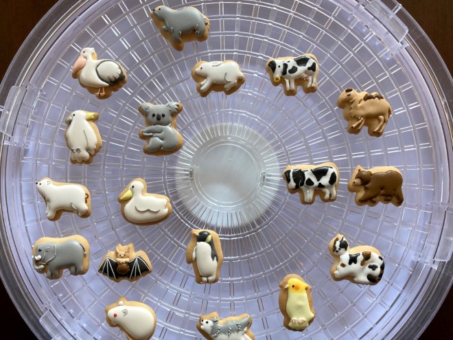 sp���񂪍�����A�A�C�V���O�N�b�L�[�̐��X