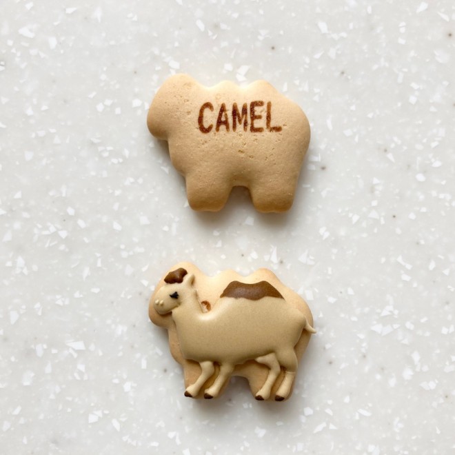 sp���񂪍�����A�A�C�V���O�N�b�L�[�̐��X