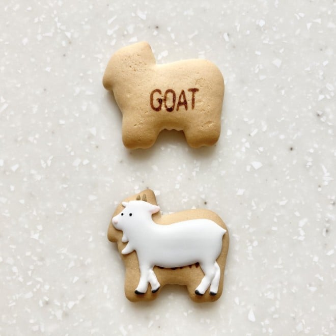 sp���񂪍�����A�A�C�V���O�N�b�L�[�̐��X