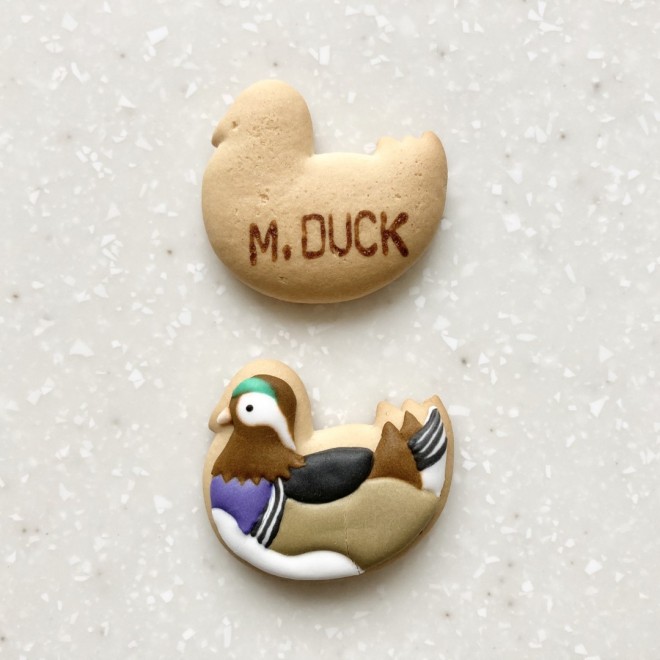 �ŏ��Ɏ�������u�I�V�h���v