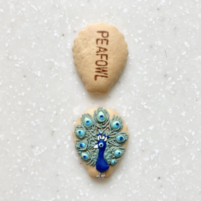 �v��������y�������ƌ��A�N�W���N�B�ׂ��ȓ������͗l�ɒ��ځB