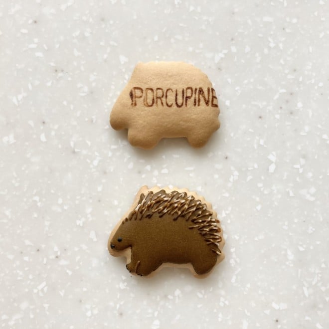 sp���񂪍�����A�A�C�V���O�N�b�L�[�̐��X