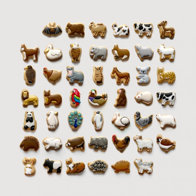 �A�C�V���O���ꂽ��̃N�b�L�[