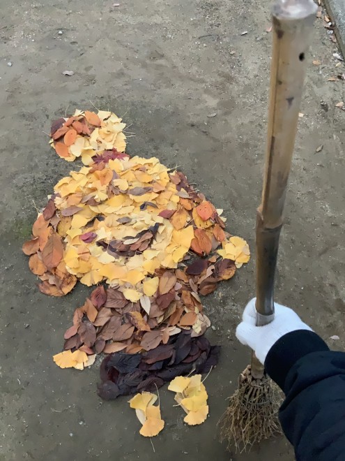 �M���搶�̍��E�����t�A�[�g