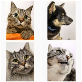 �F���M�ŕ`�����u���A��������L�v�ق����C�͂鎁��i�R���N�V����