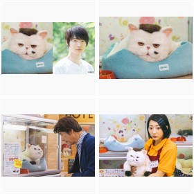 �w�������܂ƔL�x�t�H�g�M�������[