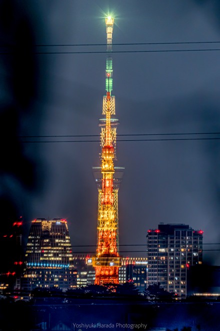 東京タワーとスカイツリーがぴったり重なった写真に反響 こんな場所あるんだ 最終兵器感ある Oricon News