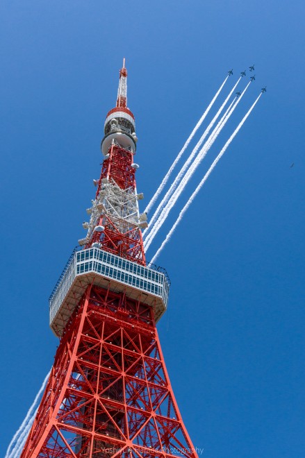東京タワーとスカイツリーがぴったり重なった写真に反響 こんな場所あるんだ 最終兵器感ある Oricon News