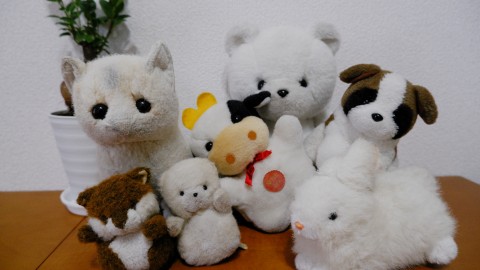  （C）こいつたちがいる！