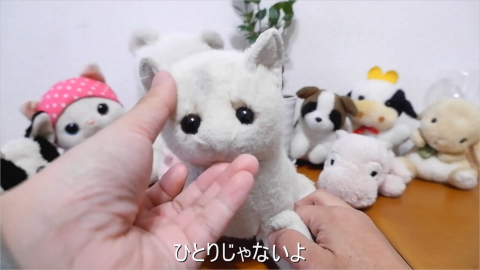  （C）こいつたちがいる！