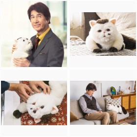 �h���}�w�������܂ƔL�x�t�H�g�M�������[