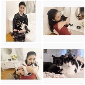 ������q����ƃ}���I�������t�H�g�M�������[