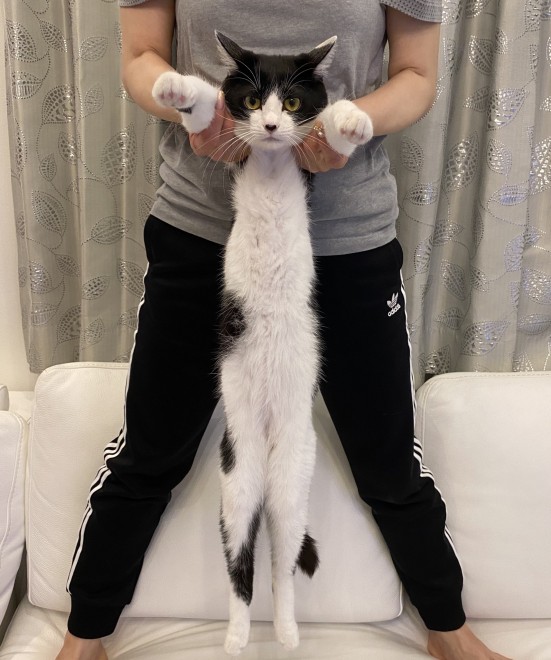 画像 写真 藤あや子さんとマルオレちゃんフォトギャラリー 23枚目 Oricon News