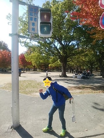 信号機を落札した小学生 独学プログラミングで点灯成功 Ledより昭和の電球式の方がなじみがあって好き Oricon News