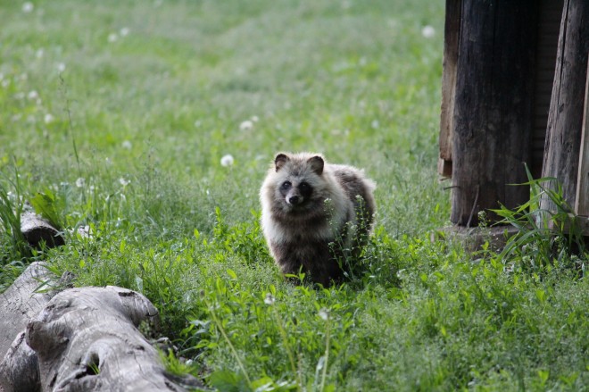 �u�L�c�l���񂢂邩�ȁc�c�v