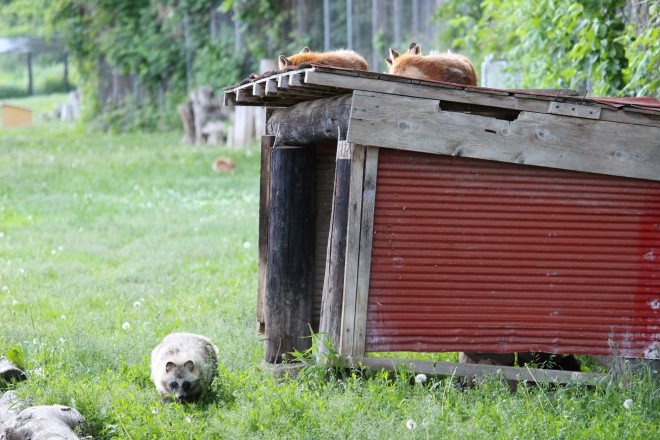 �^�k�L����A�����낤����I