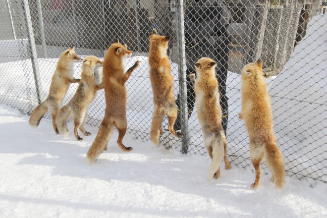 ����~��������L�c�l����