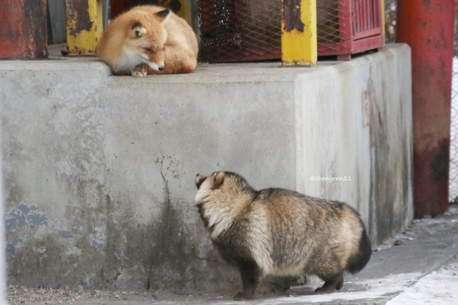 �C�ɂȂ邯�Ǔ͂��Ȃ�