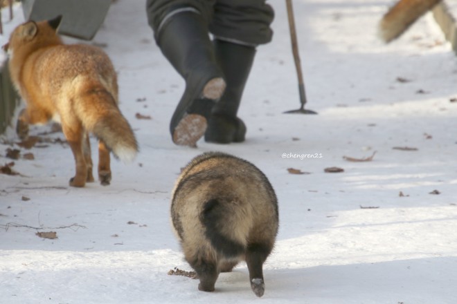 ���p���܂邢