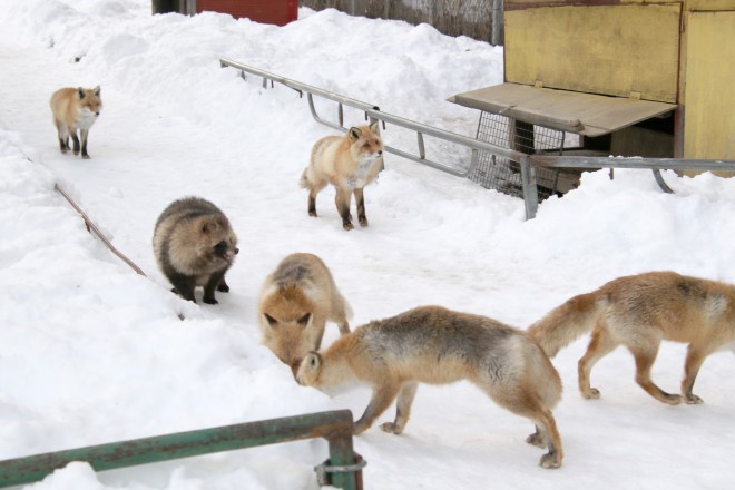 �ꏏ�ɕ�炷���Ƃ����R�Ȃ񂾂ˁI